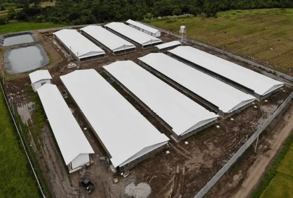 Construction & Development